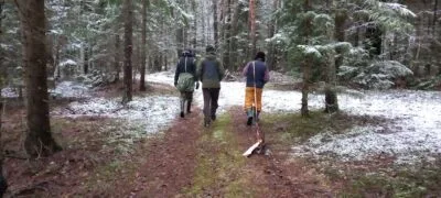 blukvilkiai